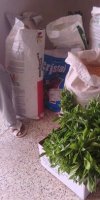 mise en valeure de terre agriculture BAYOUCEF MABROUK