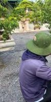 ENTRETIEN DE PLANTATION ORNEMENTALES ABDERRAHMANE YAZID