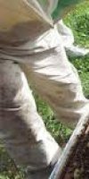 Apiculture OTHMANE RACHEDI CHAMS EDDINE