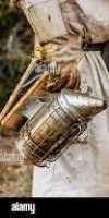Apiculture WALI KHEDIDJA