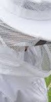 Apiculture BENDAOUED MALIKA