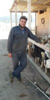 ELEVAGE OVIN AOUADJ ALAA EDDINE