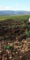 AGRICULTURE BOUHADOU OMAR