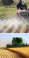 AGRICULTURE 	ESSAHLI KHADIDJA
