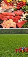 Agriculture GHAFIRI SLIMANE