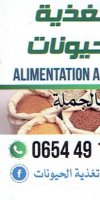 تغذية الحيوانات