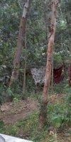 apiculture AMOUCHE EL OUAZNA