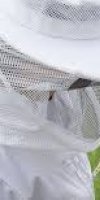 Apiculture BENDAOUED MALIKA