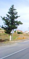 Réf 110 Vente terrain sup 14,5 hectares à Ain Defla, Tarik Ibn Ziad