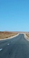 Réf : 184 Vente terrain agricole sup 110 hectares à Djelfa Aïn Oussara Bichia 