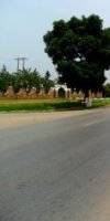 Réf : 173 Vente un terrain, sup 115 hectare à Aïn Defla Djendel 