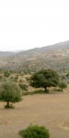 Réf : 169  Vente terrain agricole plat sup 10 hectares à Aïn Defla Tarik Ibn Ziad 