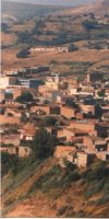 Réf : 112 Vente terrain sup 620 hectares à Relizane, Relizane, Ouled Sidi Mihoub 
